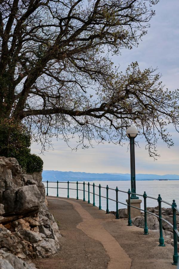Hotel Villa Schubert Opatija Exteriér fotografie